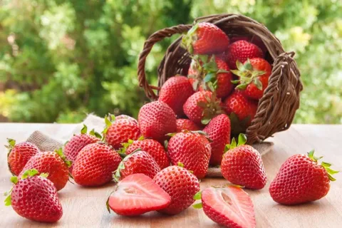 تصویر 4 از قیمت میوه خشک توت فرنگی + خرید باور نکردنی